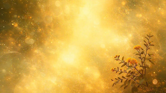 Berberine Now: Unlock Peak Metabolic & Heart Health