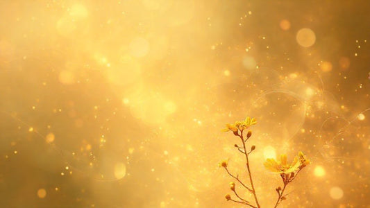 Berberine with Milk Thistle: A Powerful Duo for Health