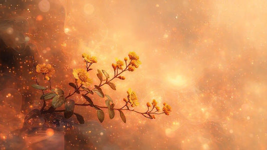 Berberine & Cancer: Exploring a Natural Health Ally