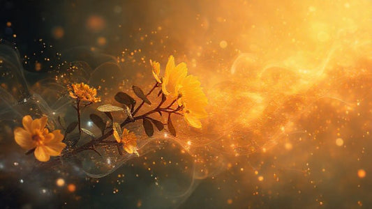 Berberine and Turmeric: Unlocking Synergistic Benefits for Your Health