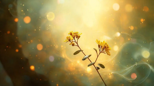 Berberine for Diarrhea & Beyond: Gut Health, Blood Sugar & More