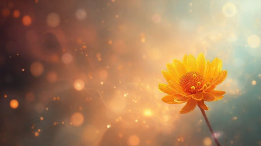 Berberine with Quercetin: Unlocking Synergistic Power for Cellular Health & Beyond