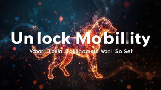 Unlock Mobility: Your Dog's Joint Health & Your Best Self