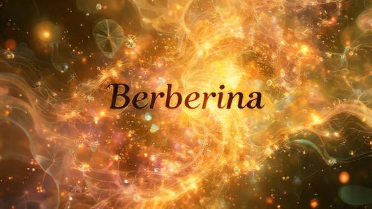 Berberina: ¿Qué Es? Tu Guía Esencial a un Poderoso Suplemento