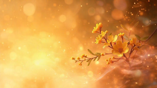 Berberine and Sleep: Unlocking Restful Nights Through Metabolic Harmony