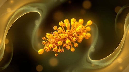 Berberine: The Integrative Guide to 6 Powerful Health Benefits