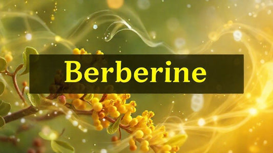 Berberine: Your 'Just Ingredients' Guide to 5 Proven Benefits